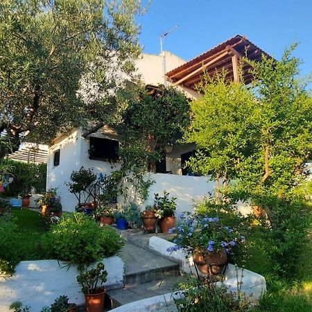 Sonia'S House With Garden Villa เยราคินิ ภายนอก รูปภาพ