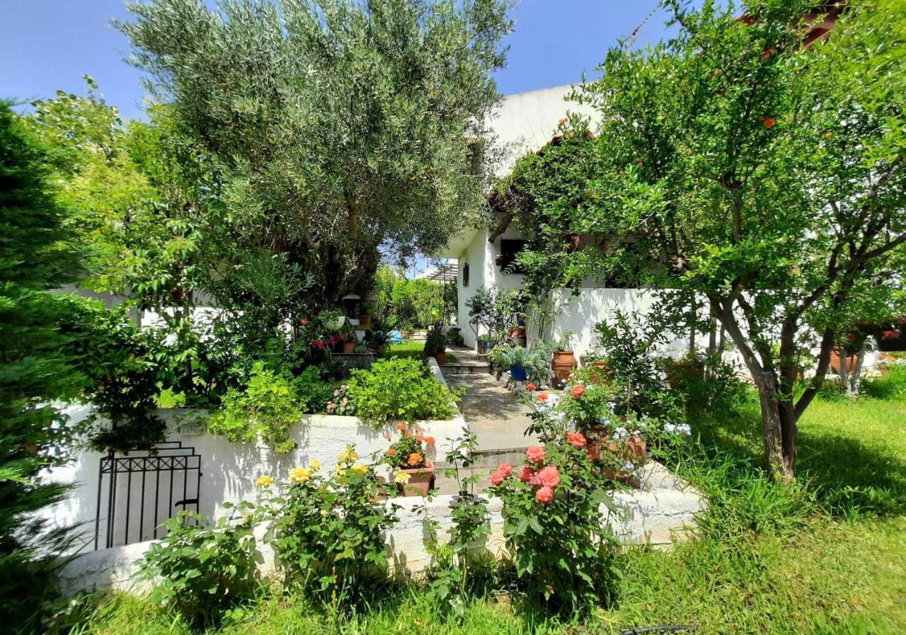 Sonia'S House With Garden Villa เยราคินิ ภายนอก รูปภาพ