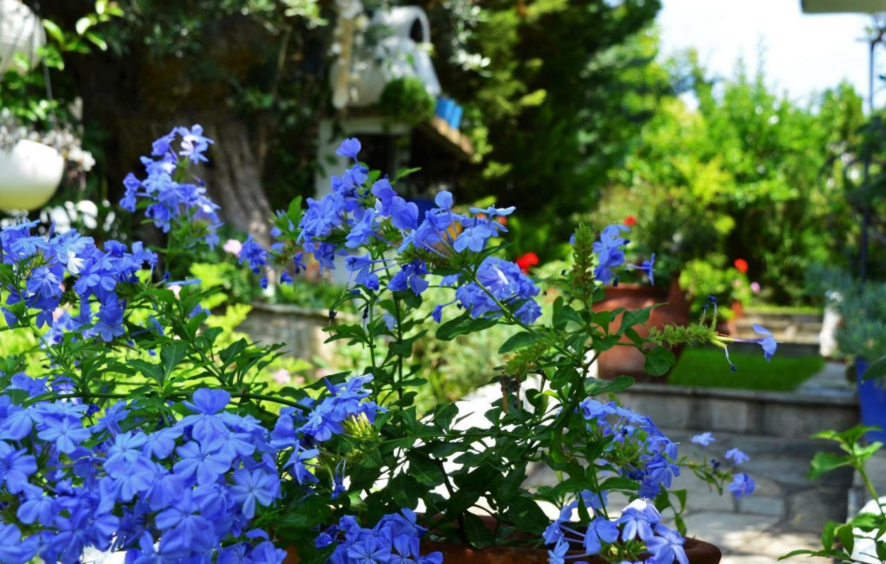 Sonia'S House With Garden Villa เยราคินิ ภายนอก รูปภาพ